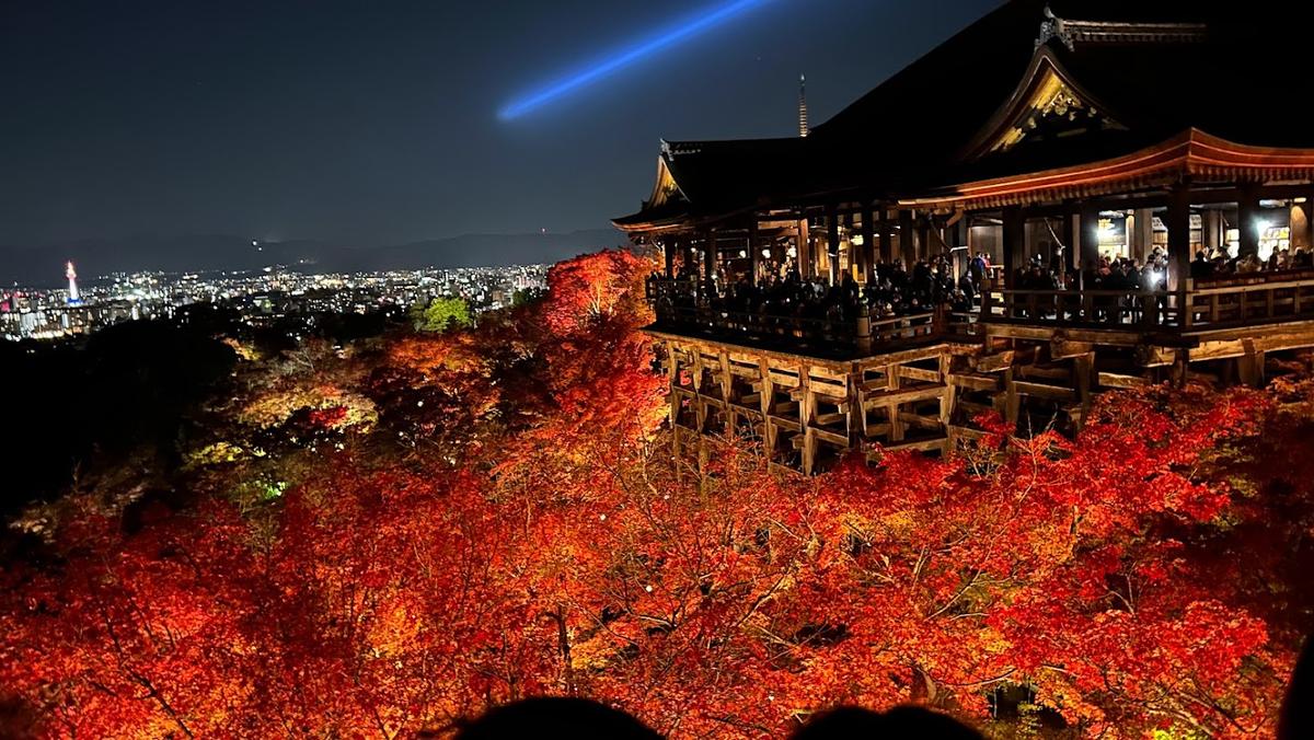京都在住大学生による、京都の景色【#1】-京都でおすすめの景色3選！-