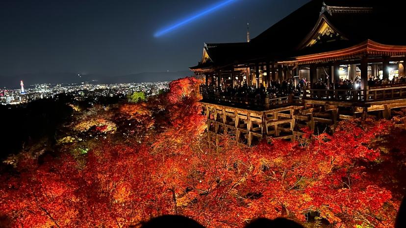 清水寺の紅葉ライトアップ